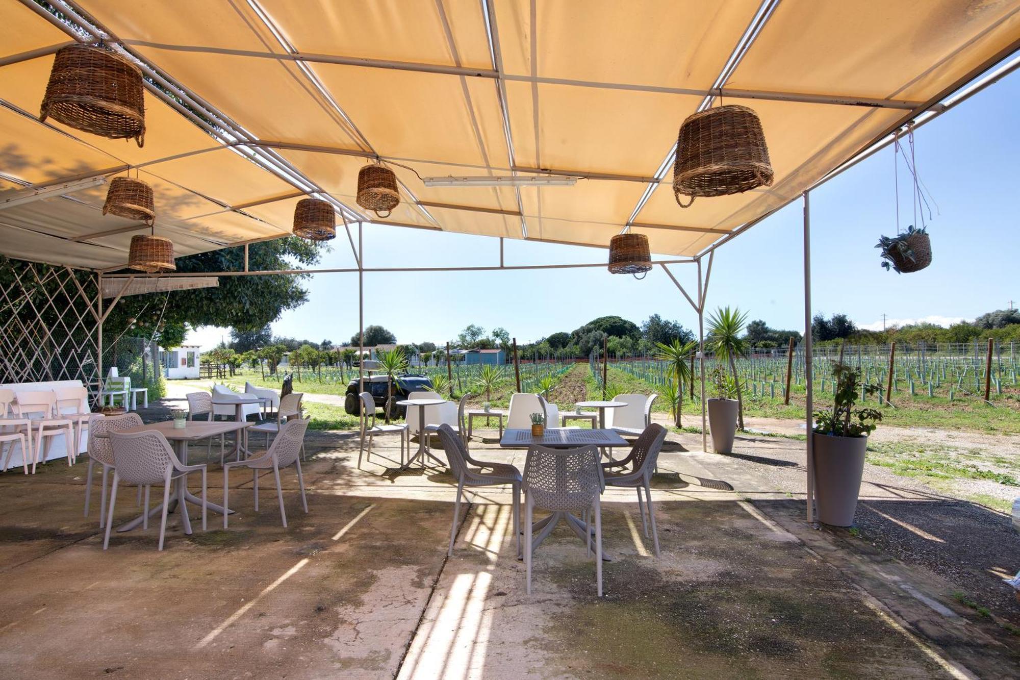 Villa Casa Lavadeira - Vinhas De Nexe Distretto di Distretto di Faro Esterno foto